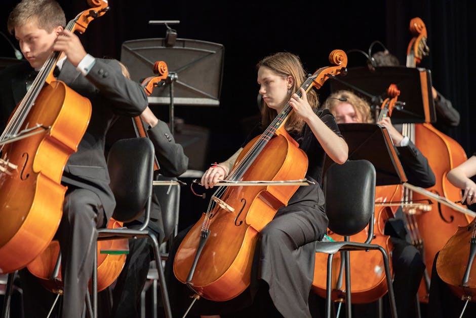Artistes musique en France : musiciens et groupes à trouver